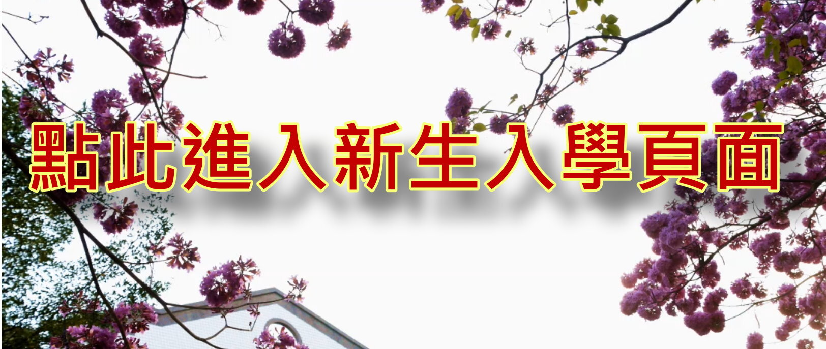 新生